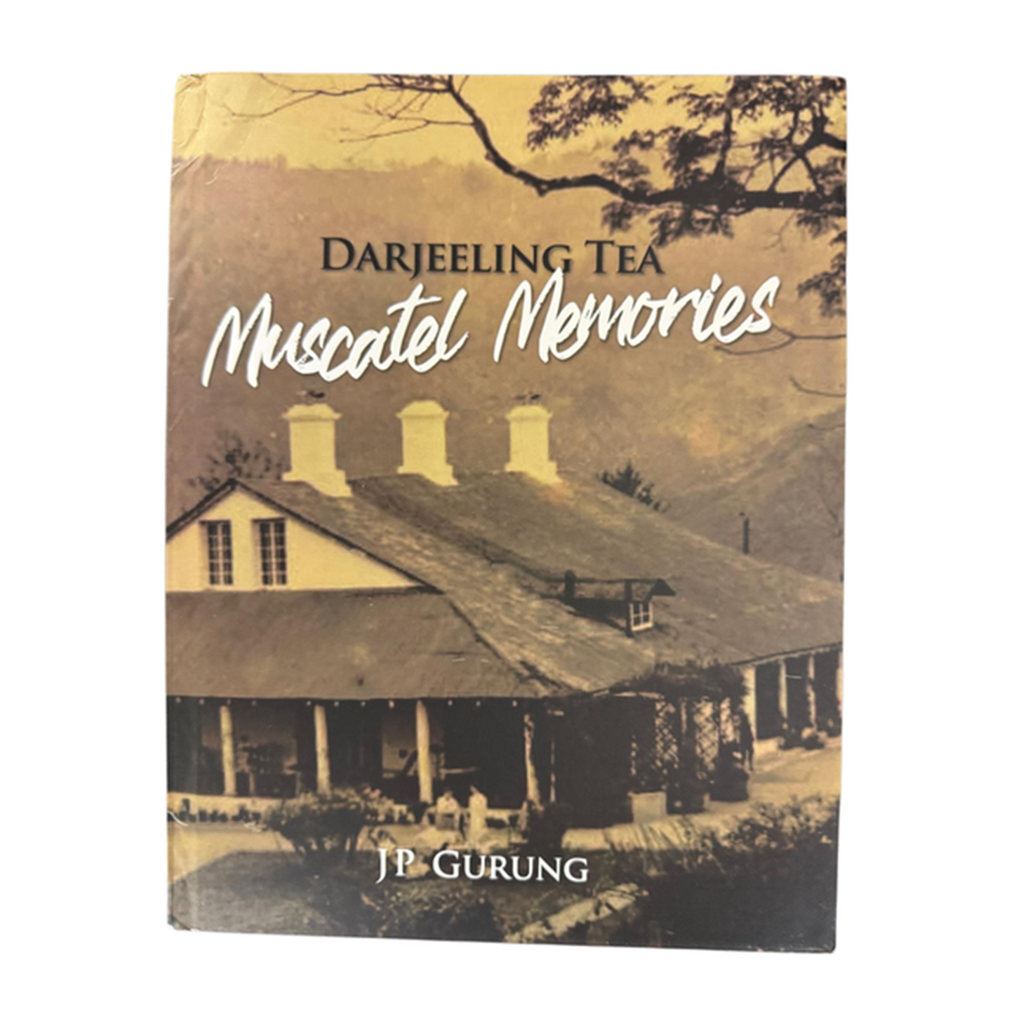 Darjeeling Tea: Muscatel Memories - Wholesale