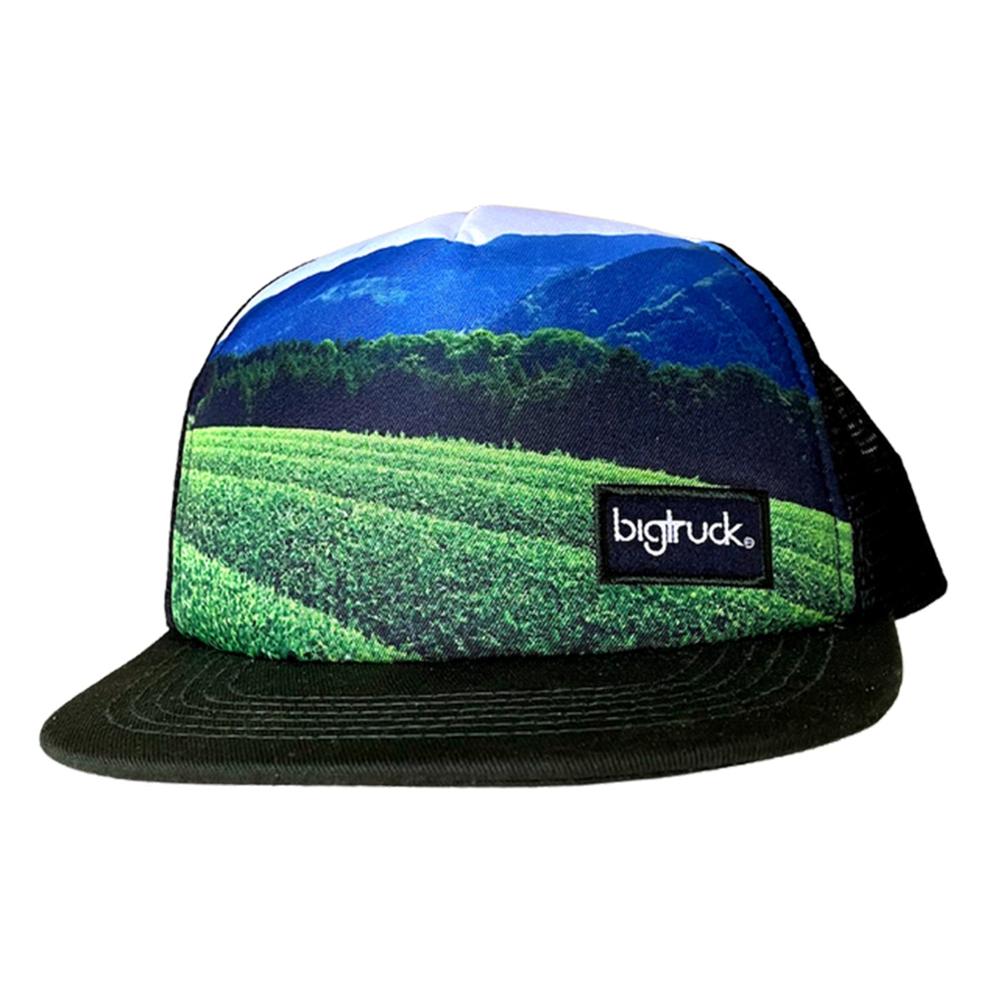 Davidson's X bigtruck Hats