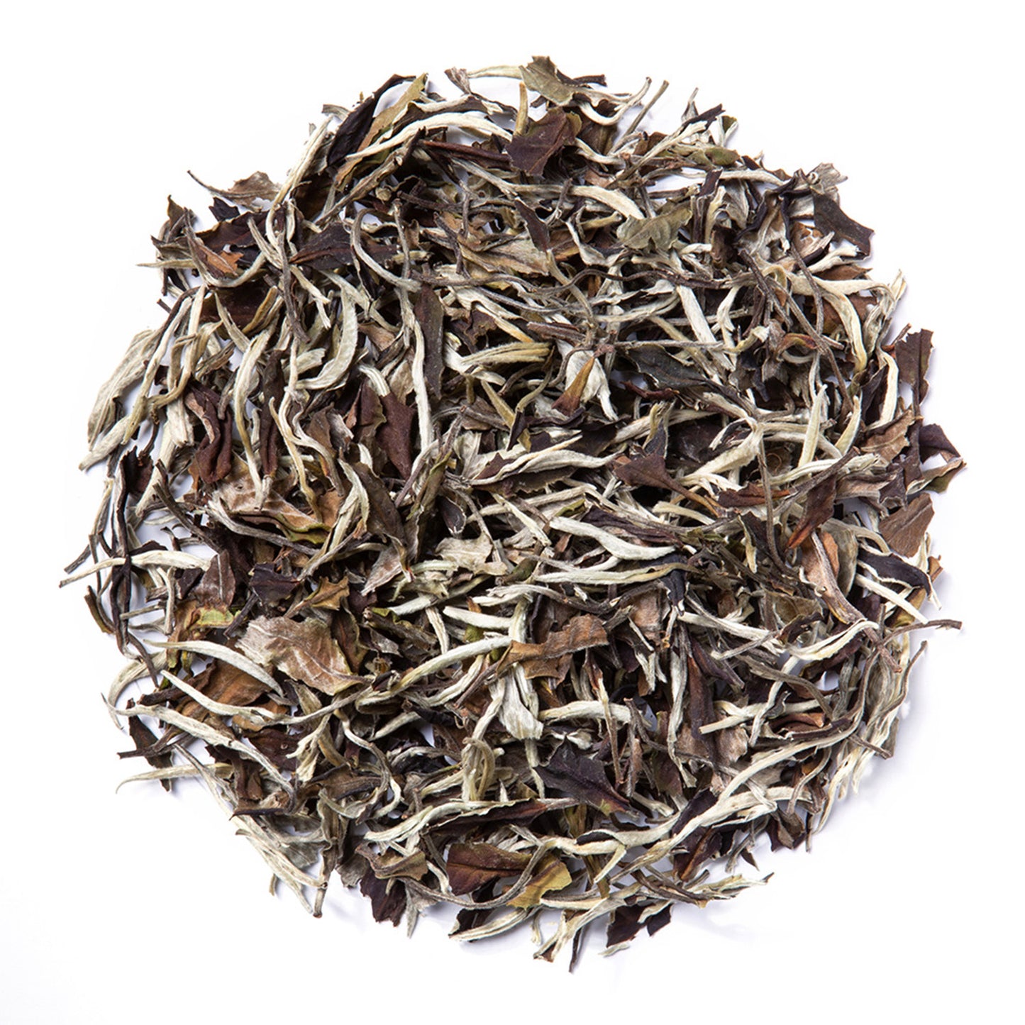 Moonlight White (Loose Leaf) - Out of Stock