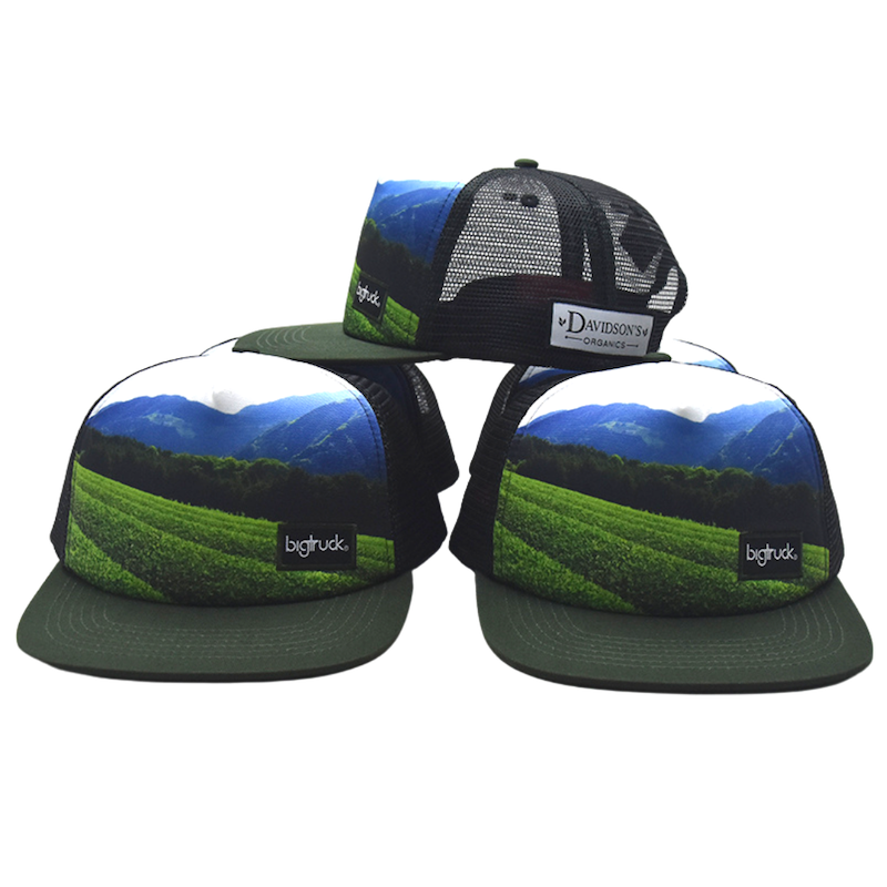 Davidson's X bigtruck Hats