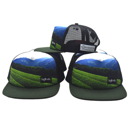 Davidson's X bigtruck Hats