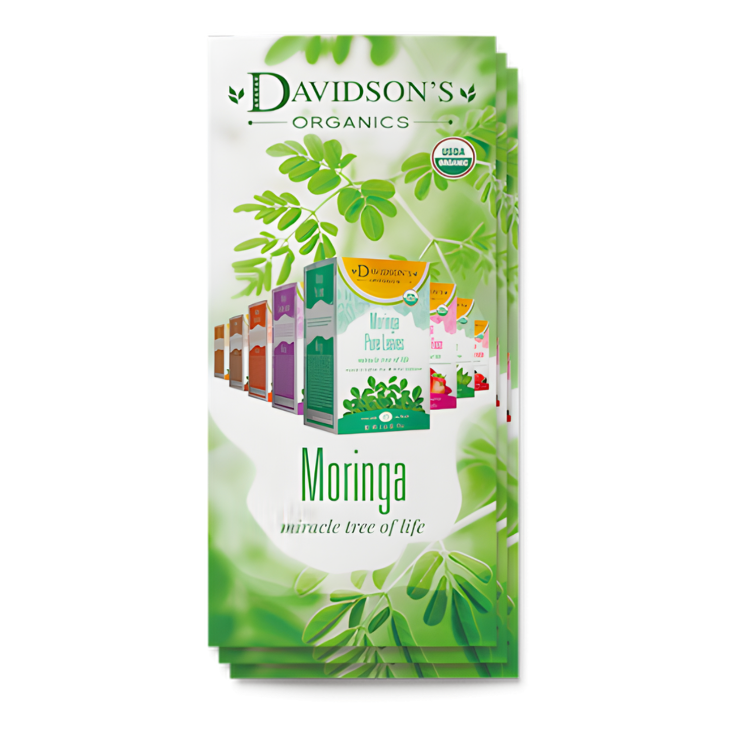 Davidson's Organics Moringa tea brochure on a white background