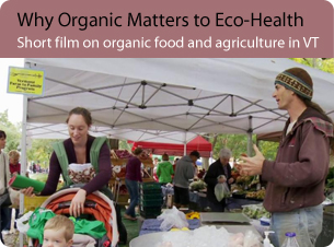 People at a farmers market; opens to short film on organic matters to eco-health.