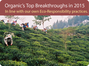 Workers in tea field; opens to article on organic's top breakthroughs in 2015.