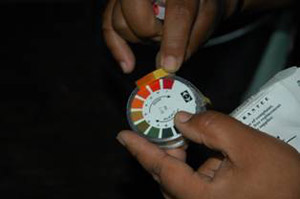Hands holding a pH color testing chart over tea plants.