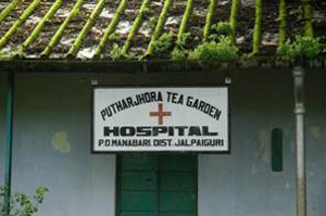 Signboard of the Putharjhora Tea Garden Hospital.